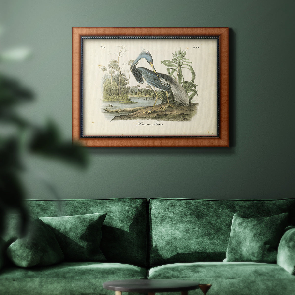 Audubons Louisiana Heron Premium Framed Canvas- Ready to Hang