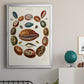 Spiral Shell Formation II - Modern Framed Canvas Print
