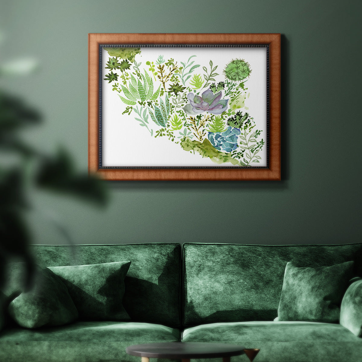 Succulent Field II - Ornate Framed Canvas Print