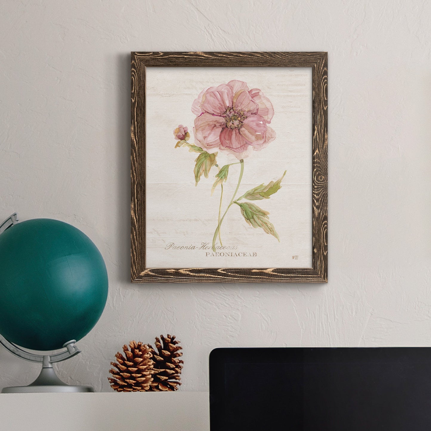 Soft Peony - Premium Canvas Framed in Barnwood - Ready to Hang