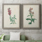 Set of two gray barnwood framed canvas prints depicting antique floral illustrations featuring a tall red bloom and a clustered mauve flower above a sofa in a modern living room.