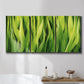 Three-panel canvas wall art featuring close view of tall green grass blades, displayed in a bathroom above a bathtub.