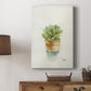 Succulent II - Canvas Art Print