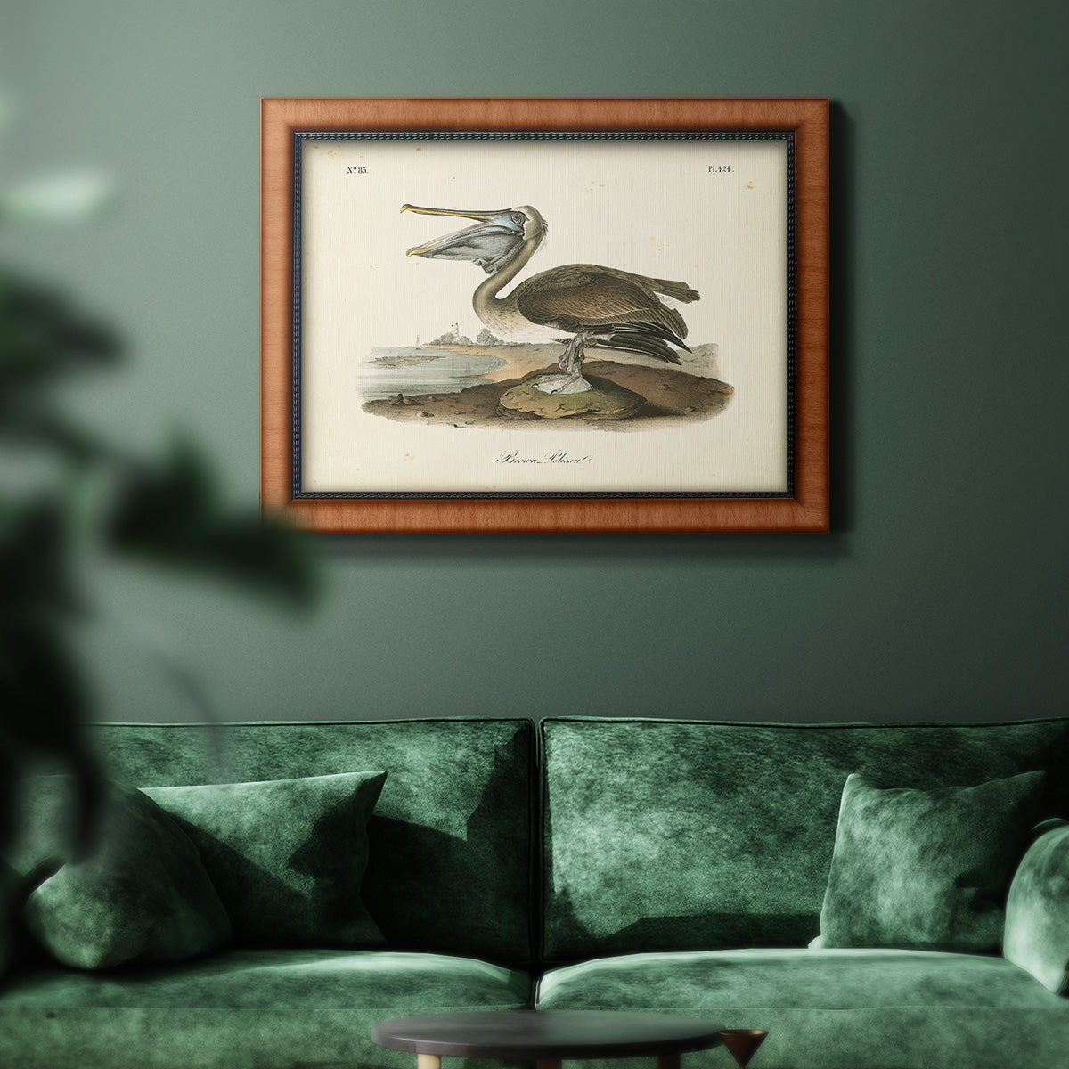 Audubons Brown Pelican - Ornate Framed Canvas Print