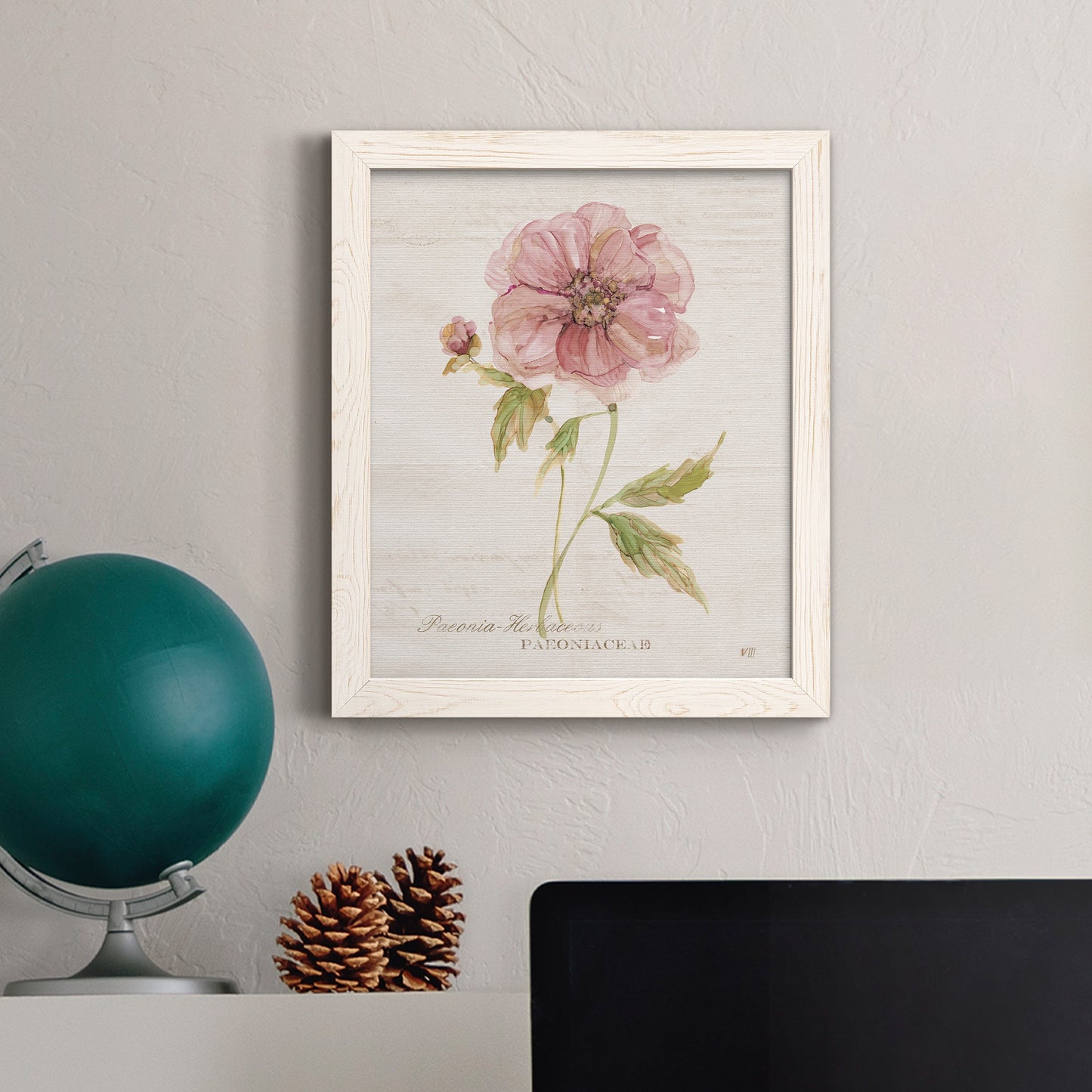 Soft Peony - Premium Canvas Framed in Barnwood - Ready to Hang