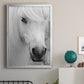 Island Pony I - Modern Framed Canvas Print