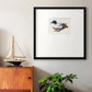 White and Blue Mallard Premium Framed Print Double Matboard