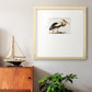 Odd Crane Premium Framed Print Double Matboard