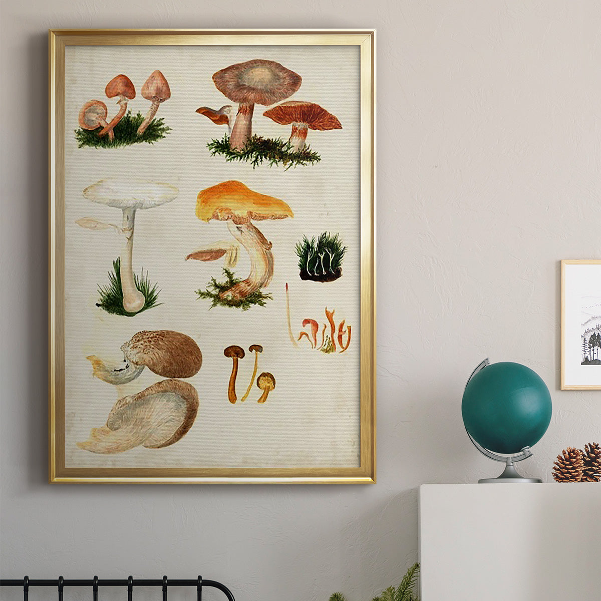 Mushroom Species IV - Modern Framed Canvas Print
