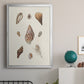 Knorr Shells & Coral IX - Modern Framed Canvas Print