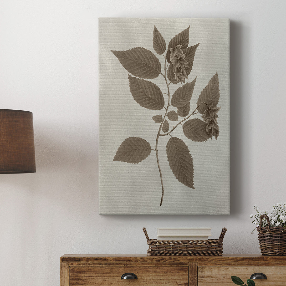 Arbor Specimen II Premium Gallery Wrapped Canvas - Ready to Hang