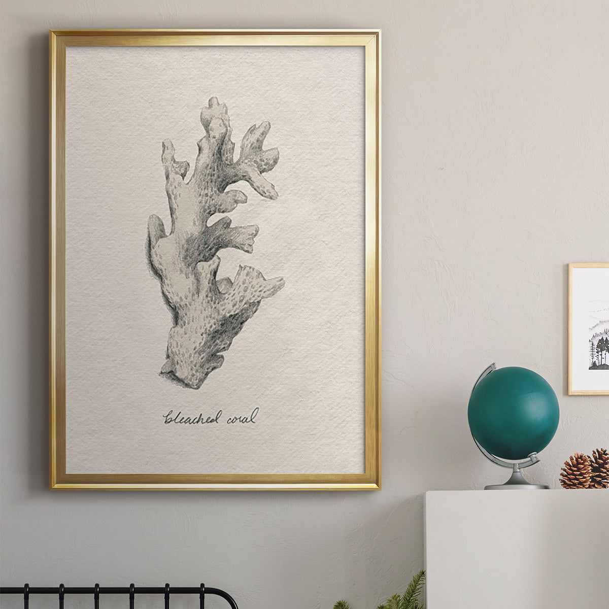 Shore Treasure Study II - Modern Framed Canvas Print