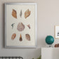Knorr Shells & Coral VI - Modern Framed Canvas Print