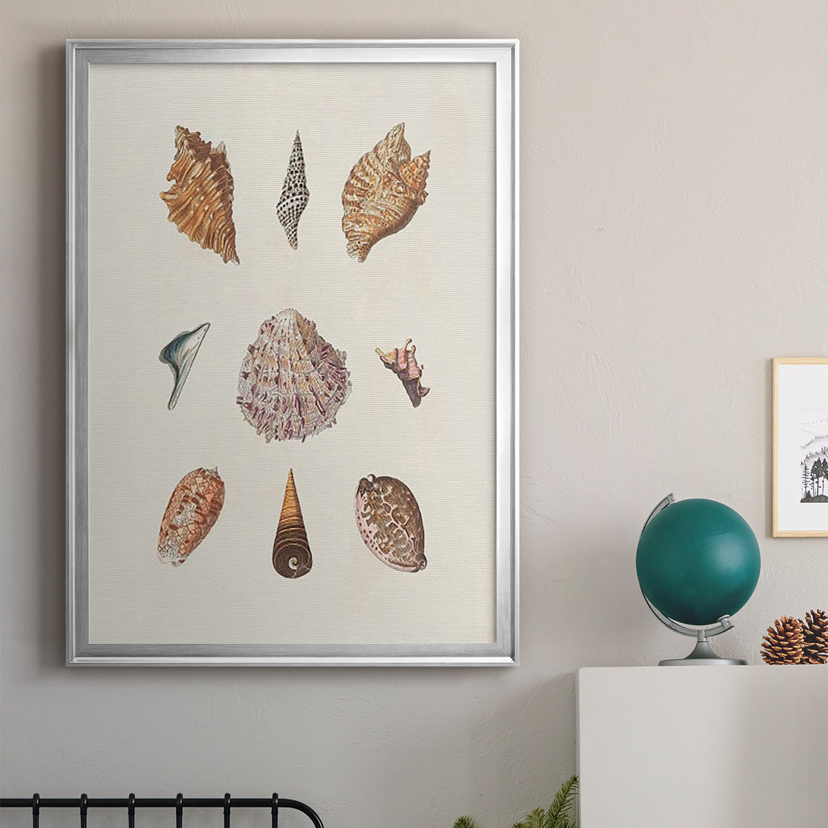 Knorr Shells & Coral VI - Modern Framed Canvas Print