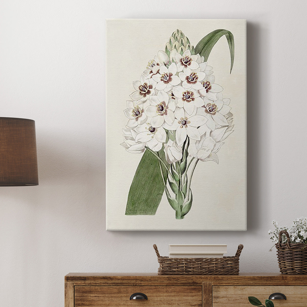 Flore Albo II Premium Gallery Wrapped Canvas - Ready to Hang