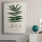 Botanical Society Ferns XII - Modern Framed Canvas Print