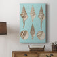 Sepia & Aqua Shells II - Canvas Art Print