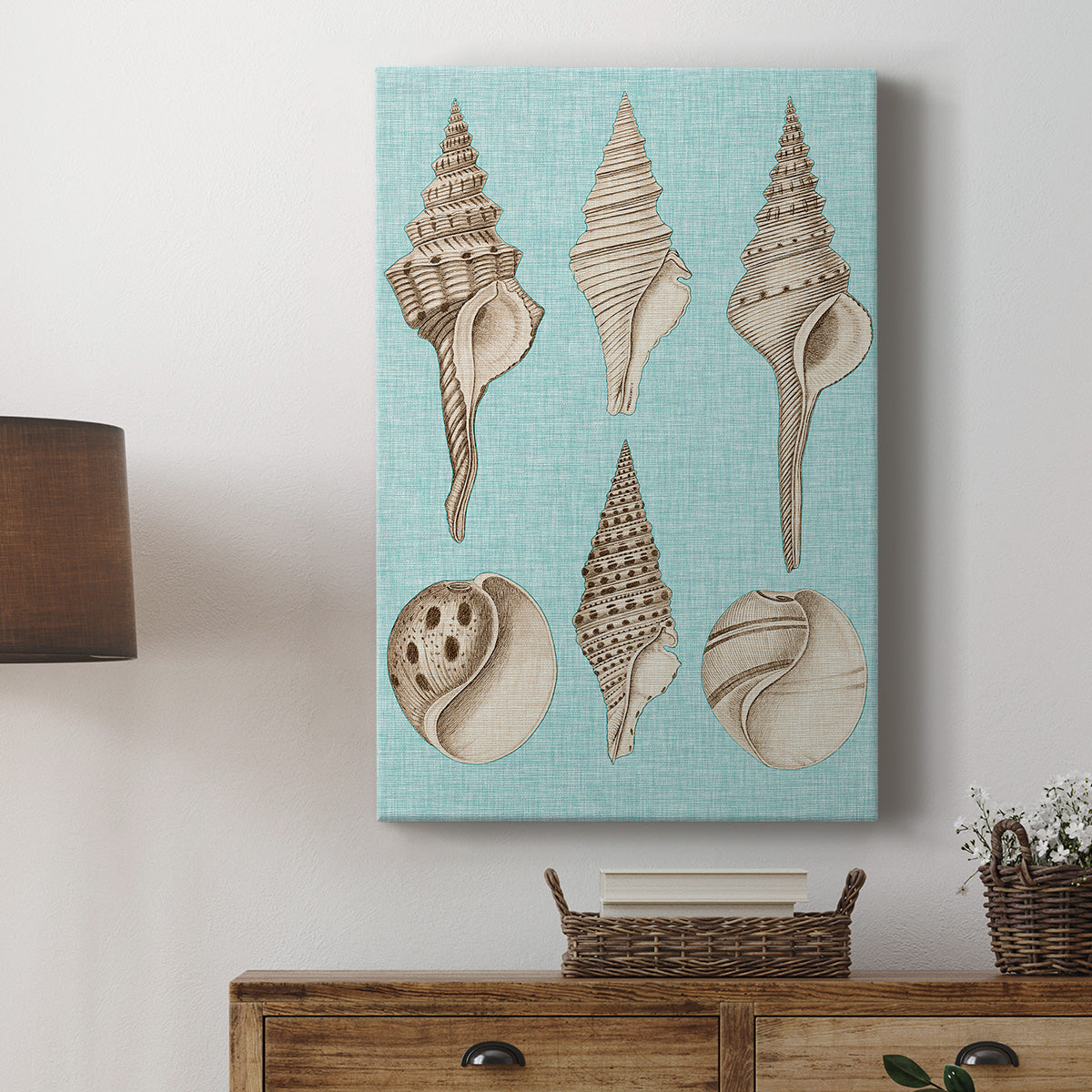 Sepia & Aqua Shells II - Canvas Art Print