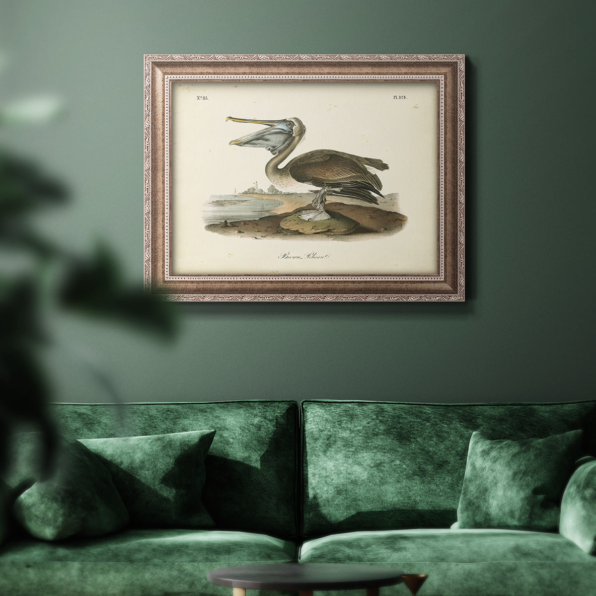 Audubons Brown Pelican - Ornate Framed Canvas Print