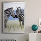 African Affection - Modern Framed Canvas Print