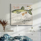 Trout Journal III-Premium Gallery Wrapped Canvas - Ready to Hang