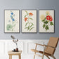 Flowers of the Seasons I - Framed Premium Gallery Wrapped Canvas L Frame 3 Piece Set - Ready to Hang