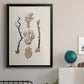 Knorr Shells & Coral V - Modern Framed Canvas Print