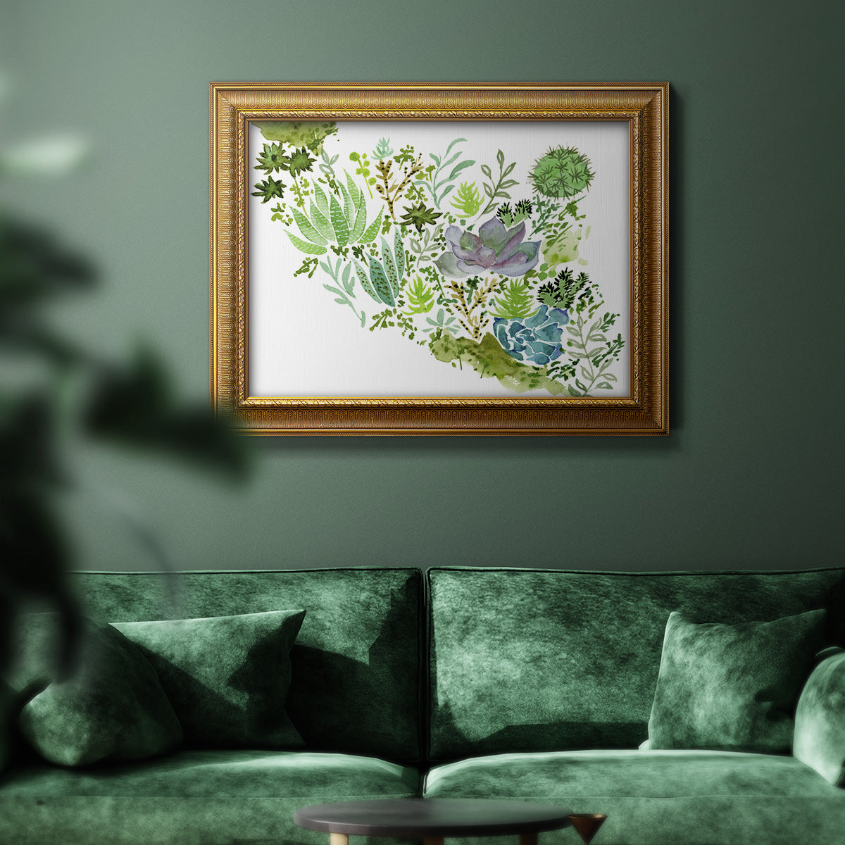 Succulent Field II - Ornate Framed Canvas Print