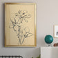 Magnolia Sketch II - Modern Framed Canvas Print