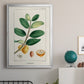 Turpin Tropical Botanicals V - Modern Framed Canvas Print