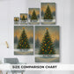 Woodland Promise of Star - Canvas Art Print