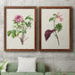 Pretty Pink Botanicals V - Premium Framed Canvas 2 Piece Set - Ready to Hang