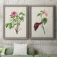 Pretty Pink Botanicals V - Premium Framed Canvas 2 Piece Set - Ready to Hang