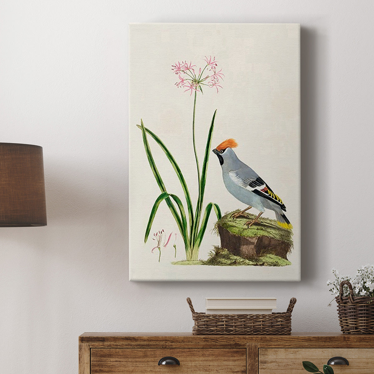 Amaryllis, Lily, and Waxwing, 1796 - Canvas Art Print