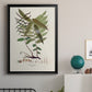 Botanical Society Ferns VI - Modern Framed Canvas Print