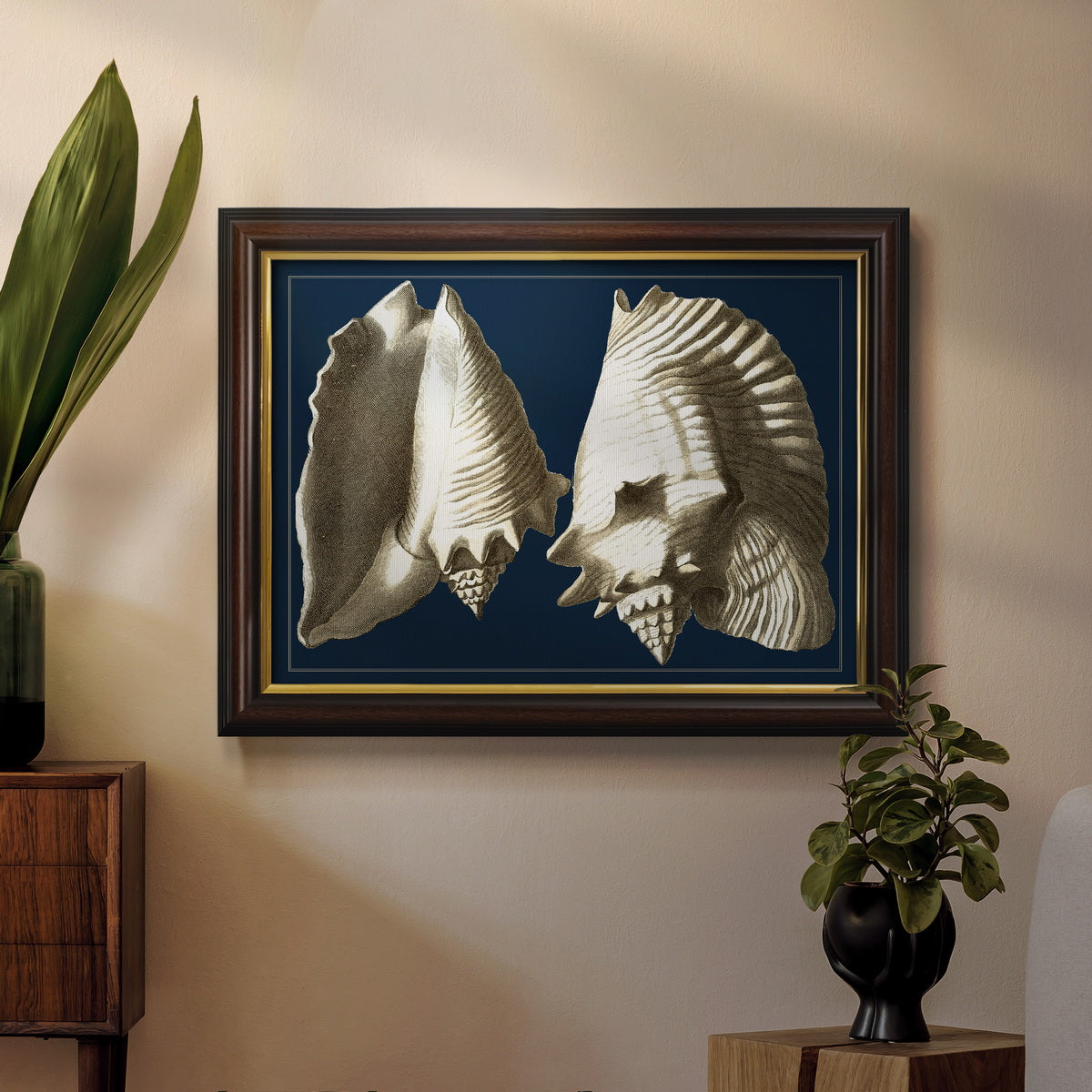 Conch Shells on Navy I Premium Framed Canvas- Ready to Hang