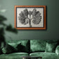 Blossfeldt Botanical VIII Premium Framed Canvas- Ready to Hang