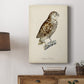 French Owls I Premium Gallery Wrapped Canvas - Ready to Hang