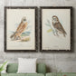 Hawk Owl - Premium Framed Canvas 2 Piece Set - Ready to Hang