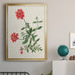 Flowers of the Seasons XI - Modern Framed Canvas Print