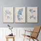 Blue Marine Algae I - Framed Premium Gallery Wrapped Canvas L Frame 3 Piece Set - Ready to Hang