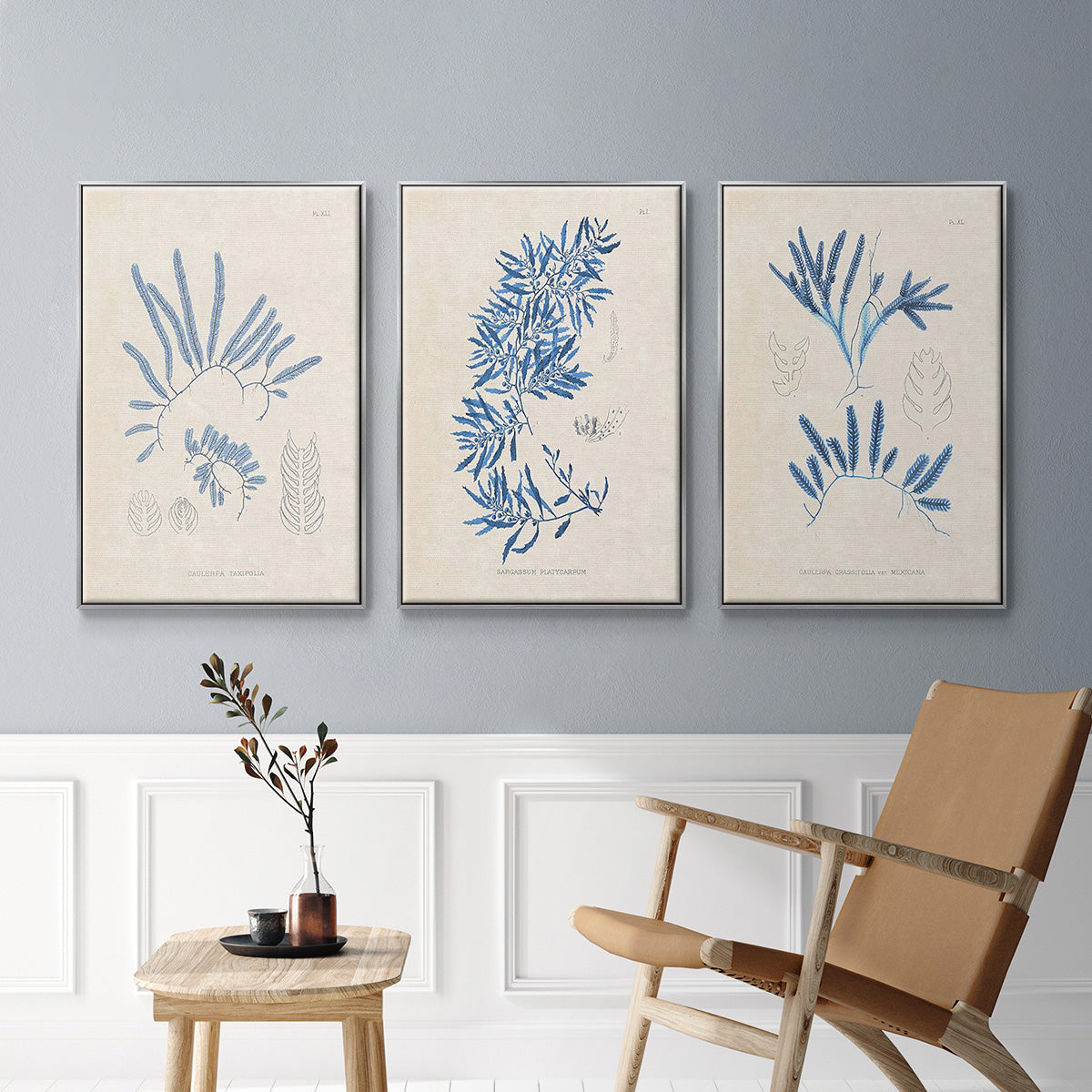 Blue Marine Algae I - Framed Premium Gallery Wrapped Canvas L Frame 3 Piece Set - Ready to Hang