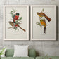 Elegant Trogons I - Premium Framed Canvas 2 Piece Set - Ready to Hang