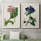 Antique Floral Folio III - Premium Framed Canvas 2 Piece Set - Ready to Hang