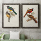 Elegant Trogons III - Premium Framed Canvas 2 Piece Set - Ready to Hang