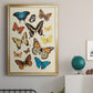 Collected Flutter II - Modern Framed Canvas Print