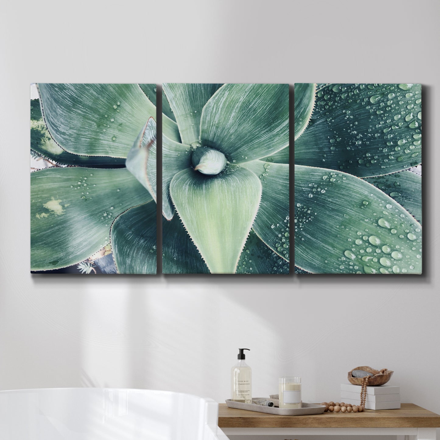 Three-panel canvas wall art featuring green succulent plant photograph, displayed in a bathroom above a bathtub.