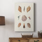 Knorr Shells & Coral VI Premium Gallery Wrapped Canvas - Ready to Hang