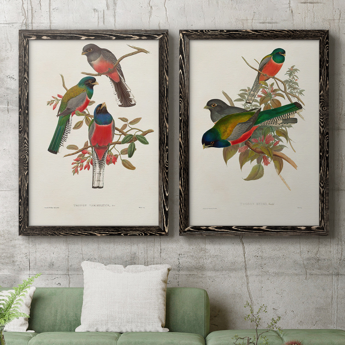 Elegant Trogons IX - Premium Framed Canvas 2 Piece Set - Ready to Hang