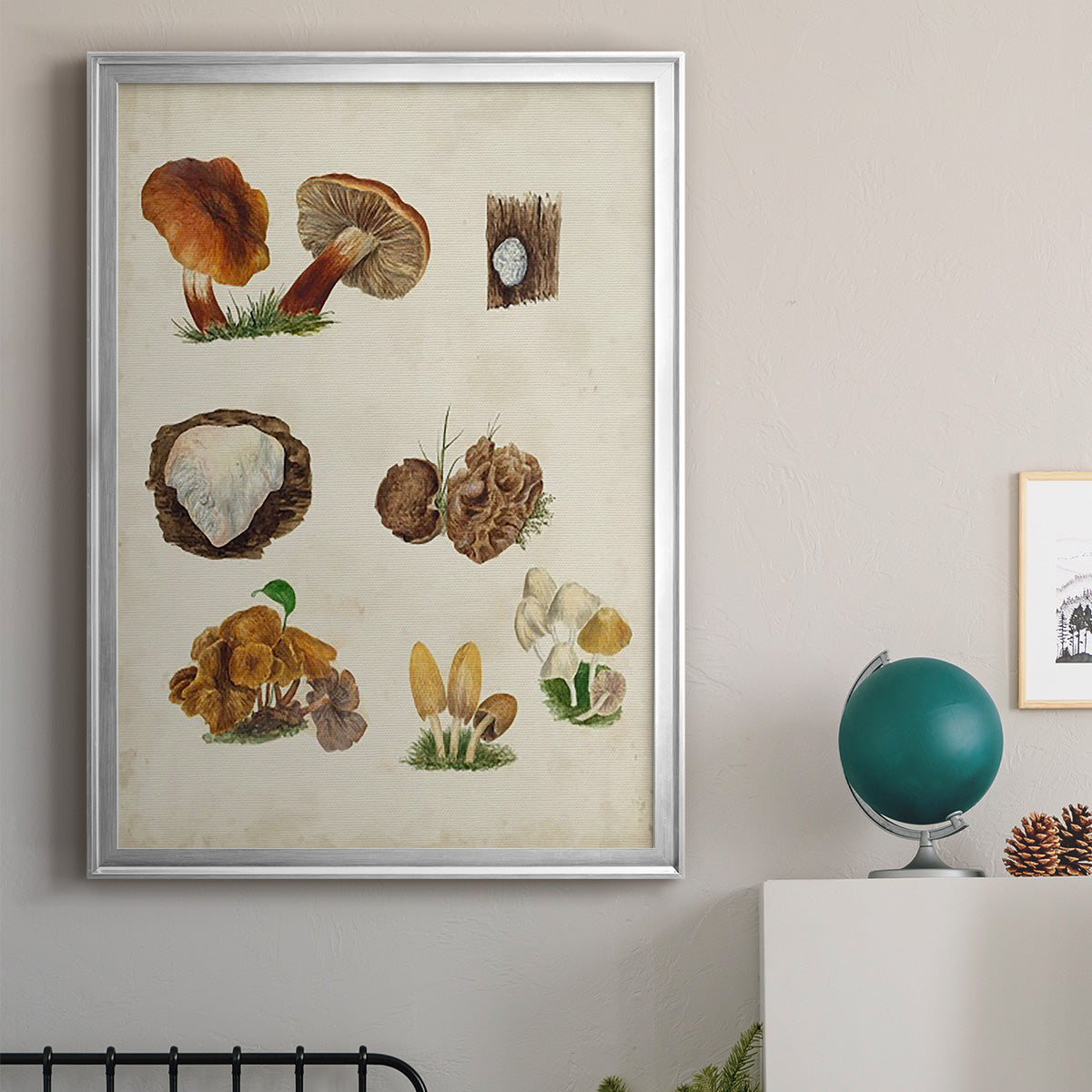 Mushroom Species I - Modern Framed Canvas Print